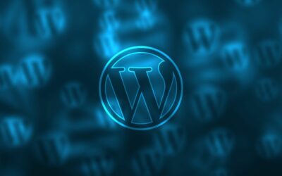 Categorie e Tag su WordPress: Tips & Tricks